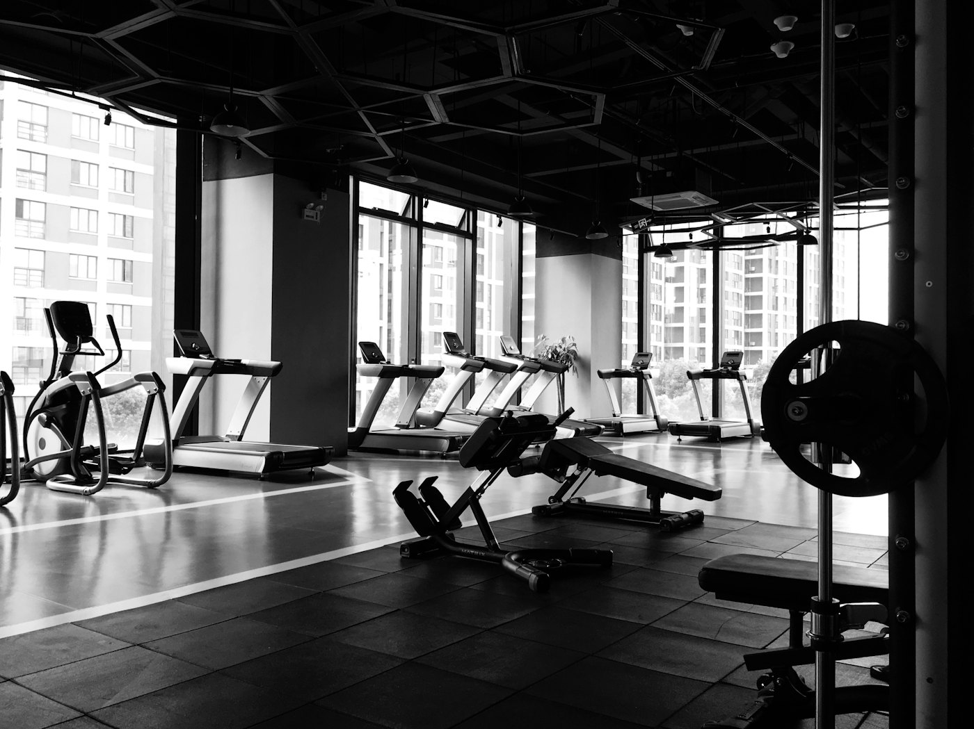 A row of treadmills beside tall gym windows