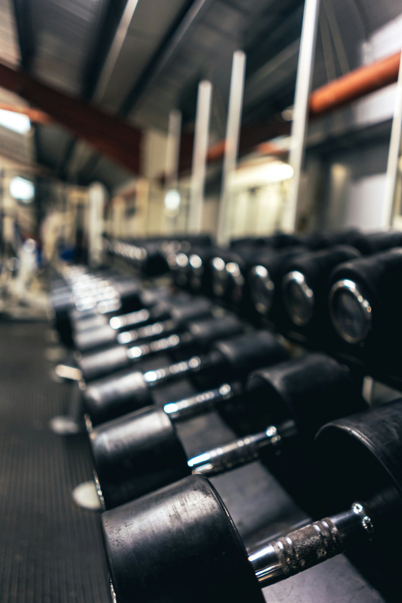 A long row of black dumbbells on a gym rack